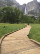 Woman Wooden Walkway Hiking Wall Mural