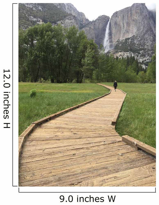 Woman Wooden Walkway Hiking Wall Mural
