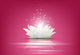 Magic White Lotus flower on pink background Wall Mural