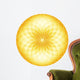 Abstract Circle - Golden Fractals Wall Decal