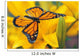 Monarch Butterfly Flower Wall Decal