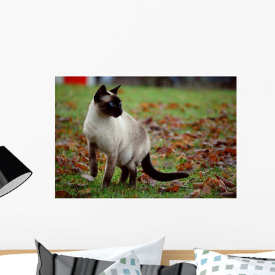 Siamese Cat Wall Mural shown on a wall