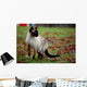 Siamese Cat Wall Mural