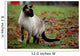 Siamese Cat Wall Mural