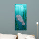 Manatee swimming under the water Wall Mural