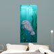 Manatee swimming under the water Wall Mural