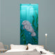 Manatee swimming under the water Wall Mural