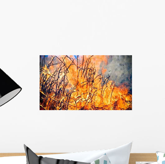 Fire Flame Wall Decal