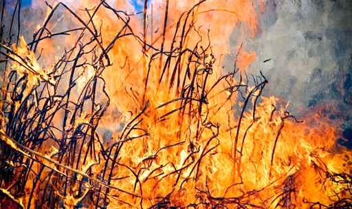 Fire Flame Wall Decal