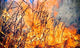 Fire Flame Wall Decal