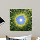 Sonne im Raps Wall Mural