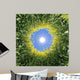 Sonne im Raps Wall Mural