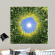 Sonne im Raps Wall Mural