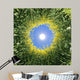 Sonne im Raps Wall Mural
