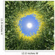 Sonne im Raps Wall Mural
