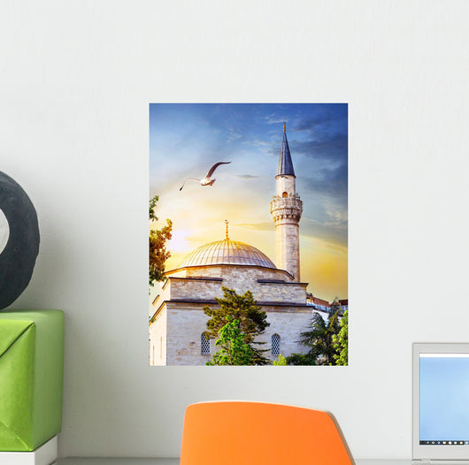 Dome and spire of mosque at sunset Wall Mural