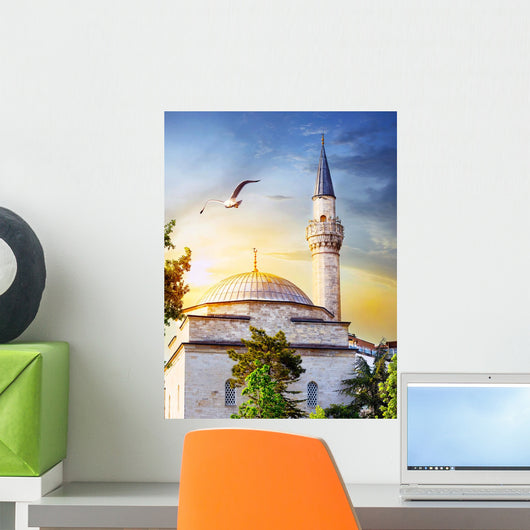 Dome and spire of mosque at sunset Wall Mural