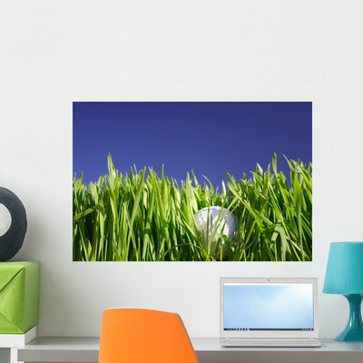 Golf Ball Wall Mural shown on a wall