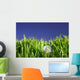 Golf Ball Wall Mural
