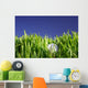 Golf Ball Wall Mural