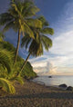 Caribbean Sunset Wall Decal Design 2