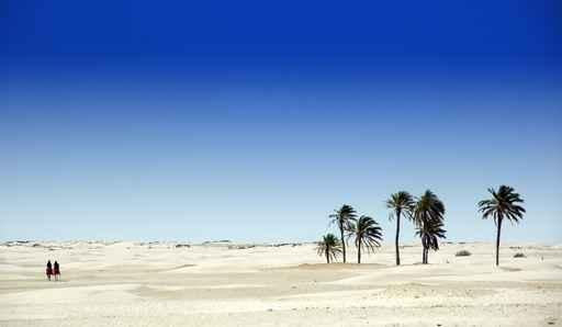 Sahara Wall Decal Design 2