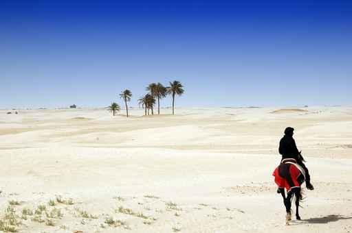 Sahara Wall Decal Design 1