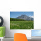 Traunstein Wall Decal