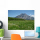 Traunstein Wall Decal