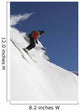 Backcountry Skiing Wall Mural