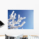 Frost Wall Decal