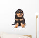 Small rottweiler puppy sitting. Isolated on white background Wall Decal