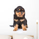 Small rottweiler puppy sitting. Isolated on white background Wall Decal