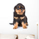 Small rottweiler puppy sitting. Isolated on white background Wall Decal