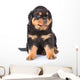 Small rottweiler puppy sitting. Isolated on white background Wall Decal