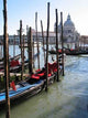 Venice 01 Wall Decal