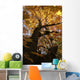 Sugar Maple Tree Changing Wall Mural