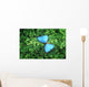Blue Butterfly Wall Decal