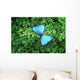Blue Butterfly Wall Decal