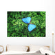 Blue Butterfly Wall Decal