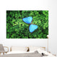 Blue Butterfly Wall Decal