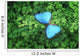 Blue Butterfly Wall Decal