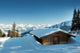 Winter Wall Decal Design 2