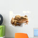 Gros Crapaud Wall Decal