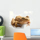 Gros Crapaud Wall Decal
