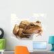 Gros Crapaud Wall Decal