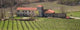 Italy Liguria Italian Vineyard Wall Decal Design 2