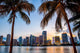 Miami Florida Skyline and Palm Trees Wall Decal
