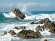 Rocks Wall Decal