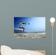soccer Wall Mural